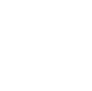 Vetted Local Professional